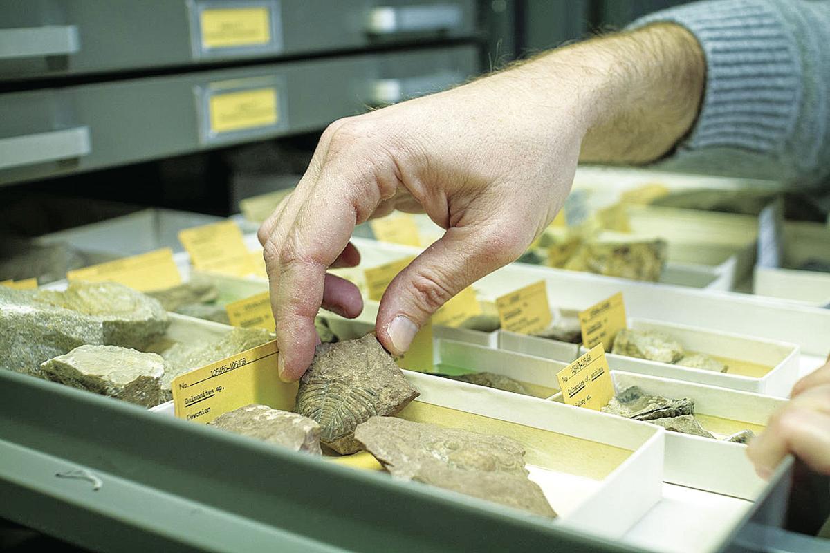 Fossil hunting in Kansas with an app State/Regional/National