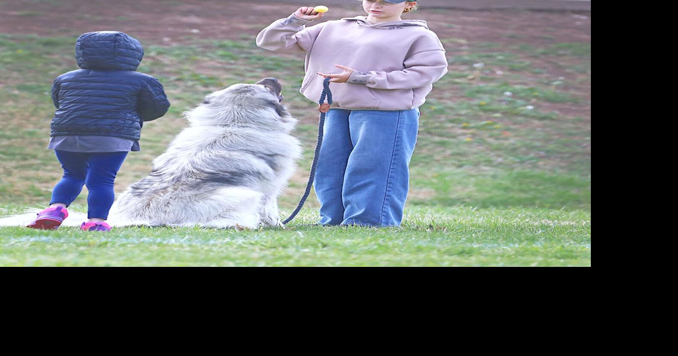 Derby’s pets have ‘pawsome’ time at DRC event