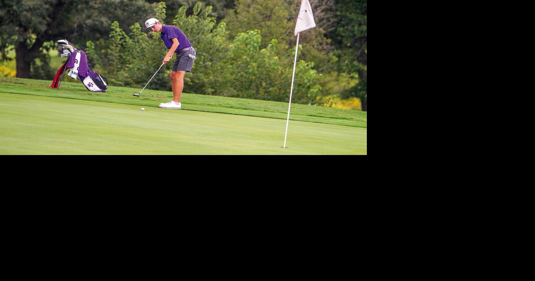 Sabers score third-place finish at Clinton | Sports | dewittobserver.com