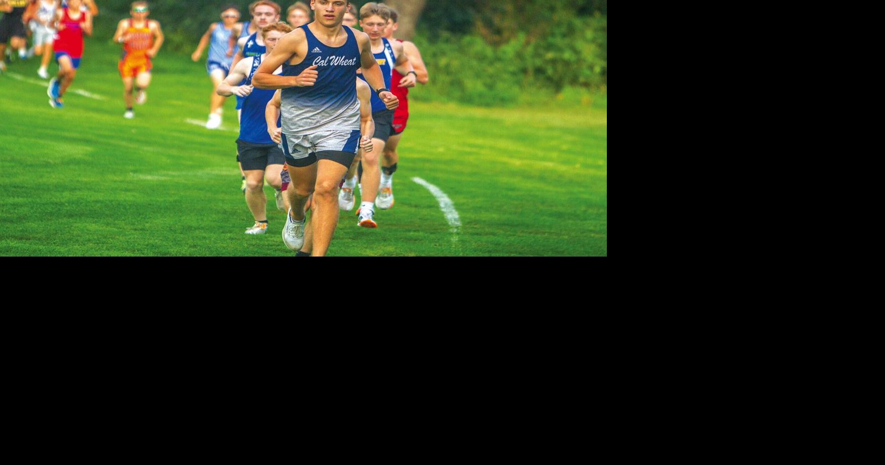 Area runners win again at Comet Invitational | Sports | dewittobserver.com