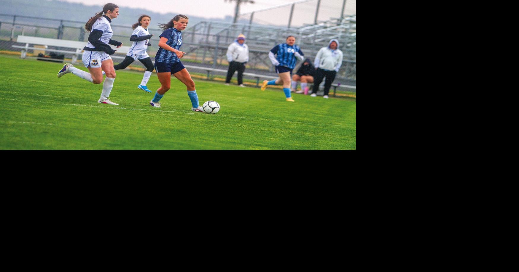 Rebels go wild in first half, rout Arrows | Sports | dewittobserver.com