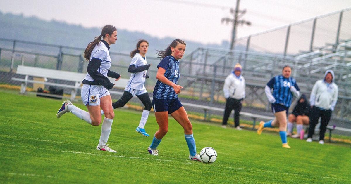 Rebels go wild in first half, rout Arrows | Sports | dewittobserver.com