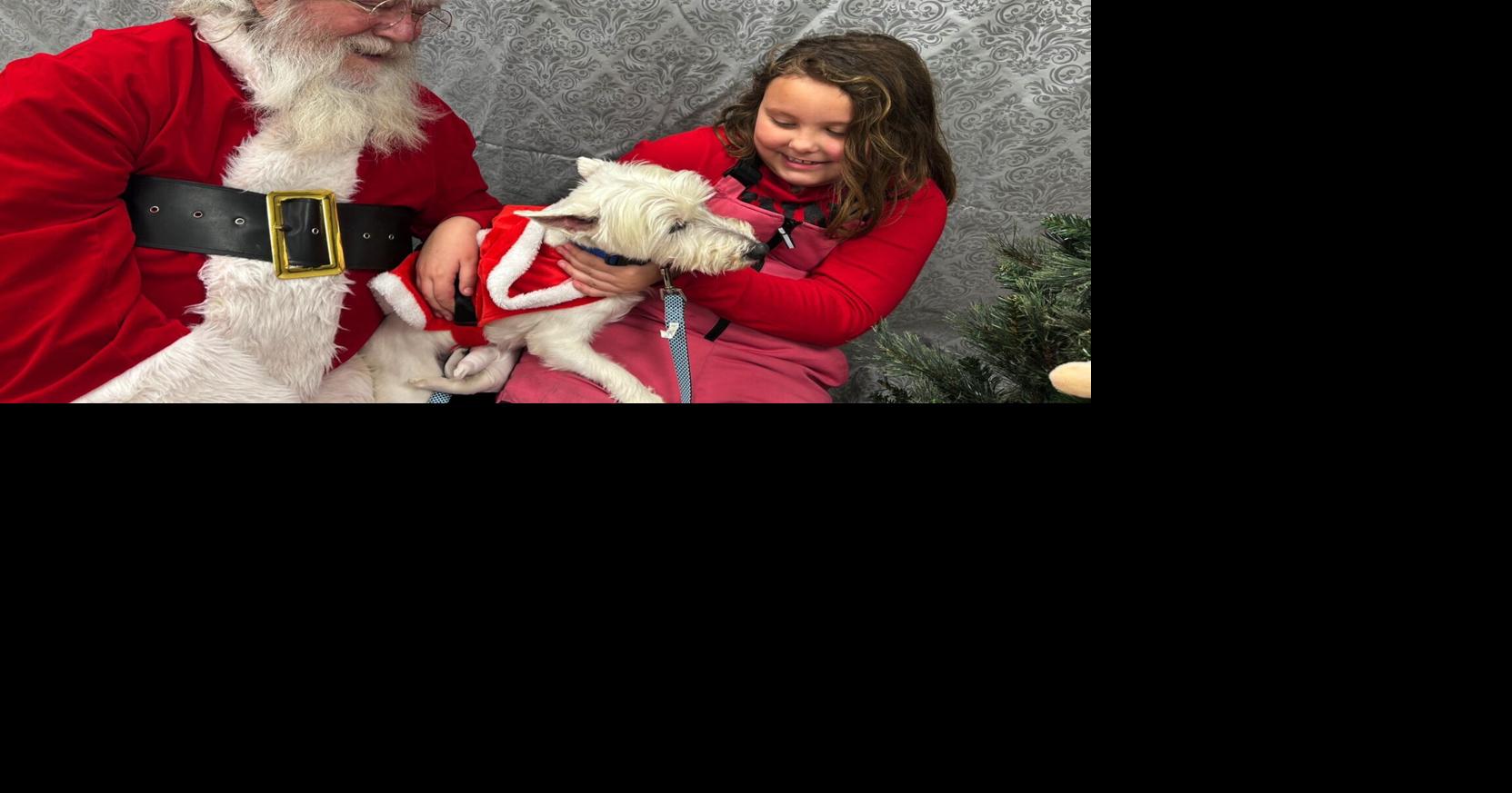 Merriment at the market | Local News | dewittobserver.com