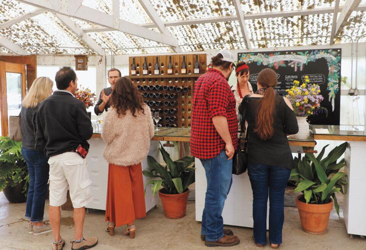 One Fine Weekend in Tomales Bay Day Trips