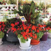 2019 Best of the East Bay: Shops and Services