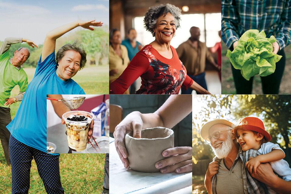 Spotlight on Shadelands Walnut Creek