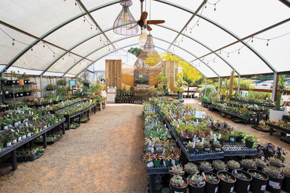 2021 Best of the East Bay: Shopping | Fashion