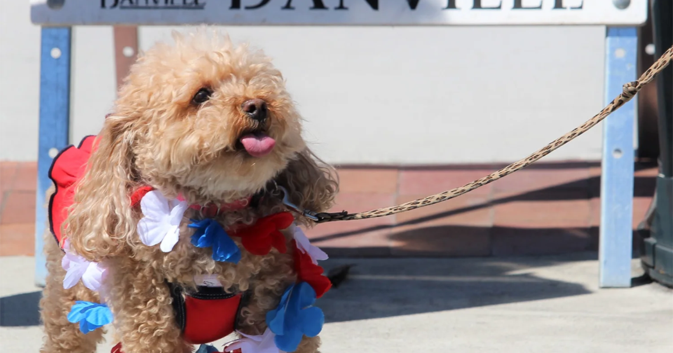 Top Tickets: East Bay Events Happening This Week July 2–8