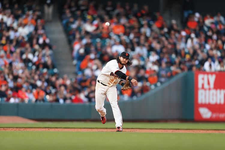 Bay Area Little League field named after Brandon Crawford