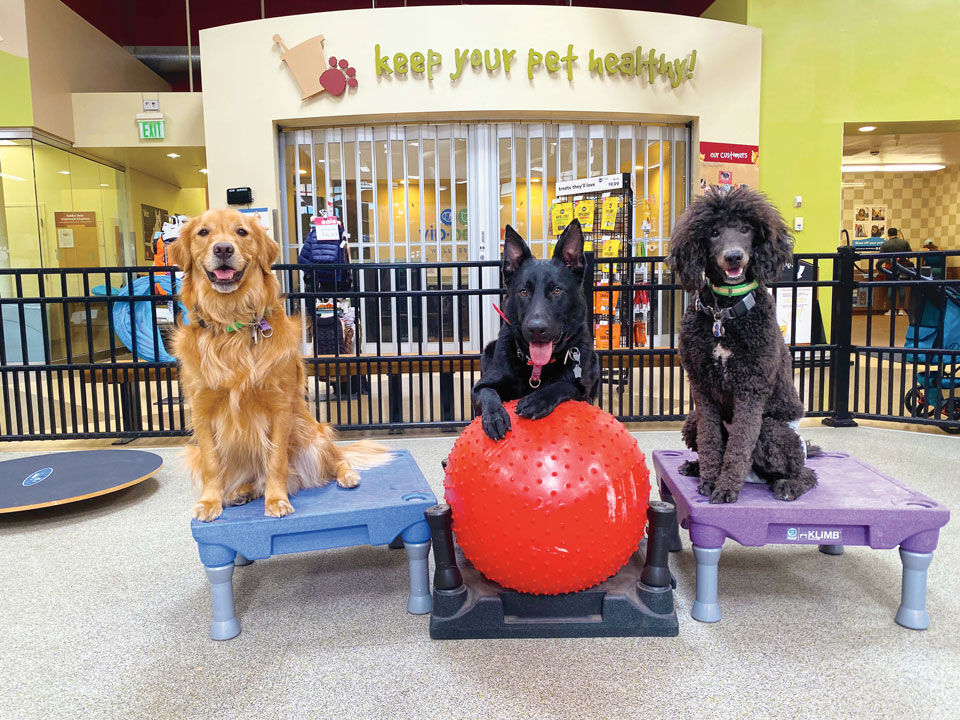 Tony La Russa and ARF Donors Launch Pets for Veterans Building in Walnut  Creek. –