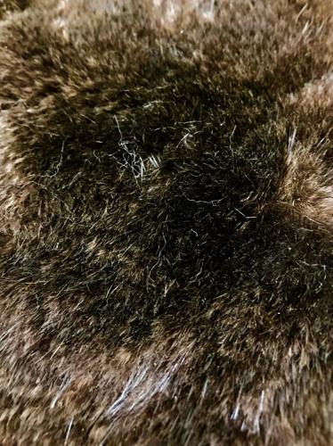 Close to Home: Sitka's otter man | Coastal Life 
