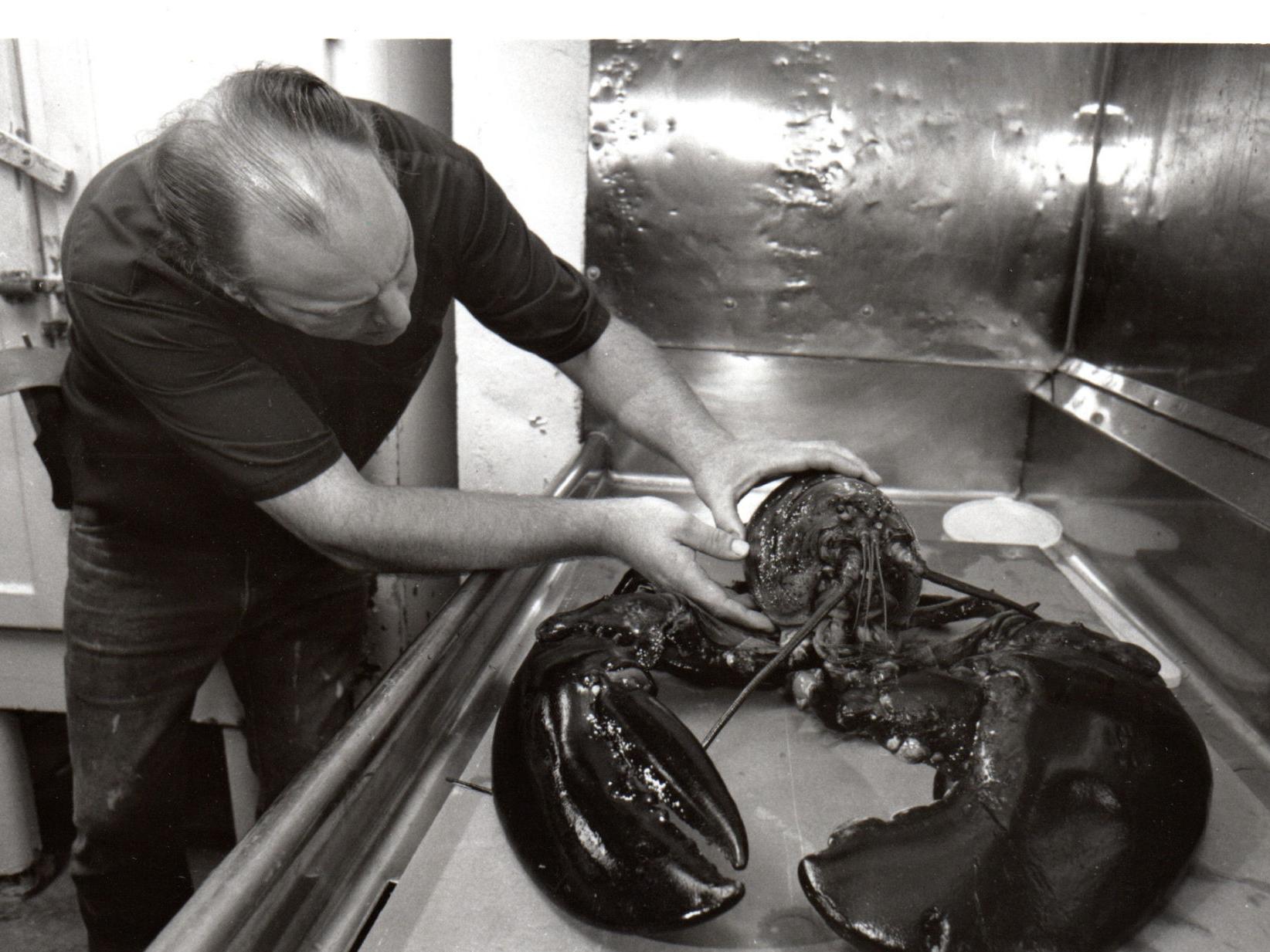 Victor the lobster | Coastal Life 
