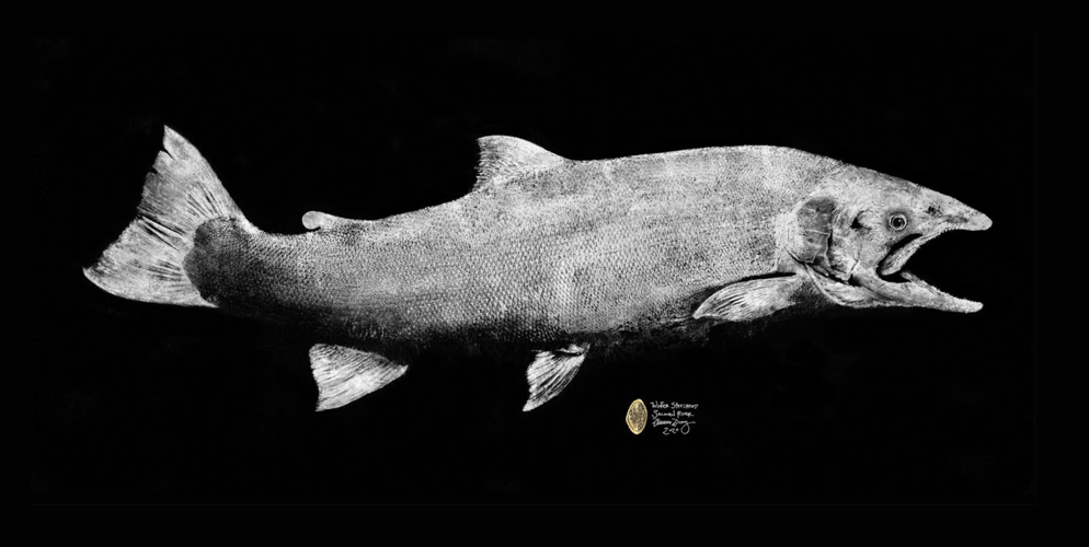 Gyotaku fish prints hi-res stock photography and images - Alamy