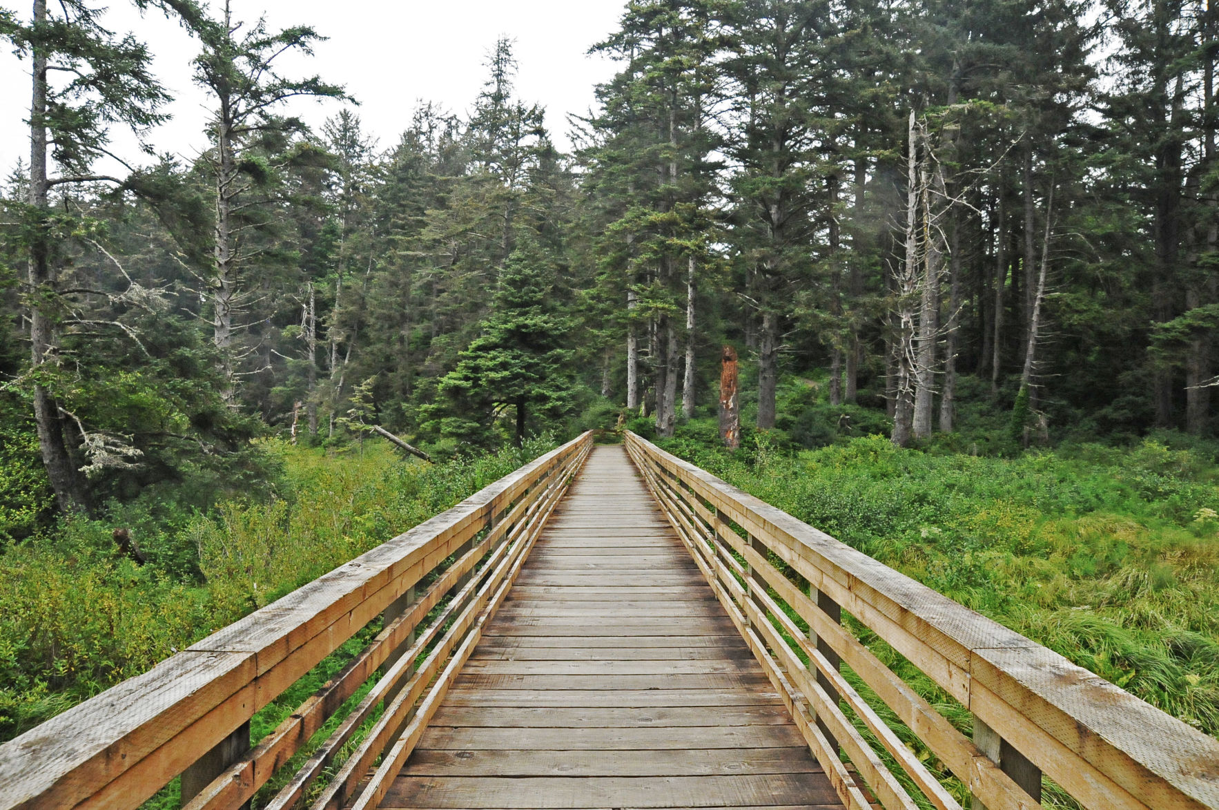 cape disappointment trails