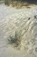 Scratchpad: On the dunes