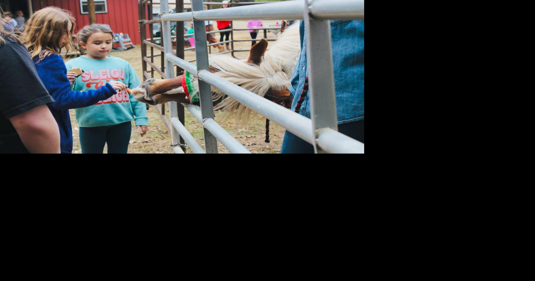 Equine business offers holiday outreach for children