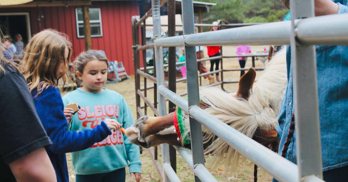 Equine business offers holiday outreach for children