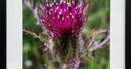 Unique Mississippi artists exhibit to open Friday night at Union County Heritage Museum Unique Mississippi artists exhibit to open Friday night at Union County Heritage Museum