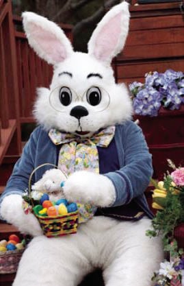 Town Of Blue Mountain To Welcome Easter Bunny News Djournal Com