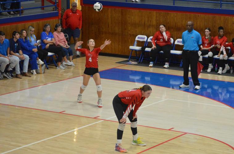 Lady Falcons Sweep West Union, Advance to North Half Championship ...