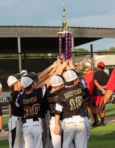 Youth baseball alive and well in South Cook County, teaching kids