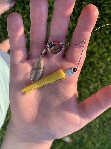Classic lure all-around favorite for bass, crappie, bream, Outdoors