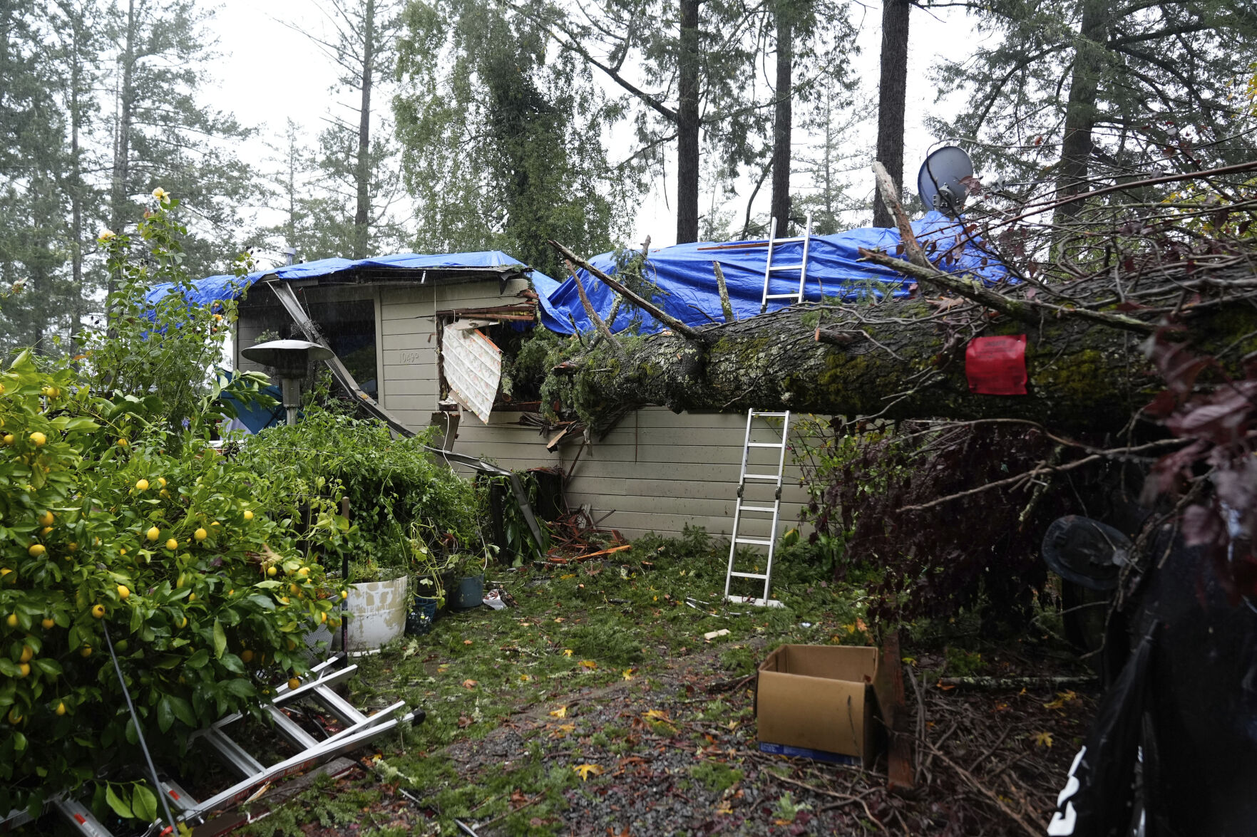 Northern California Gets Record Rain And Heavy Snow. Many Have Been In ...