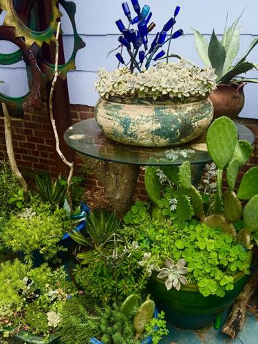 Looking for something new in garden? Try planting succulents | Culture |  djournal.com