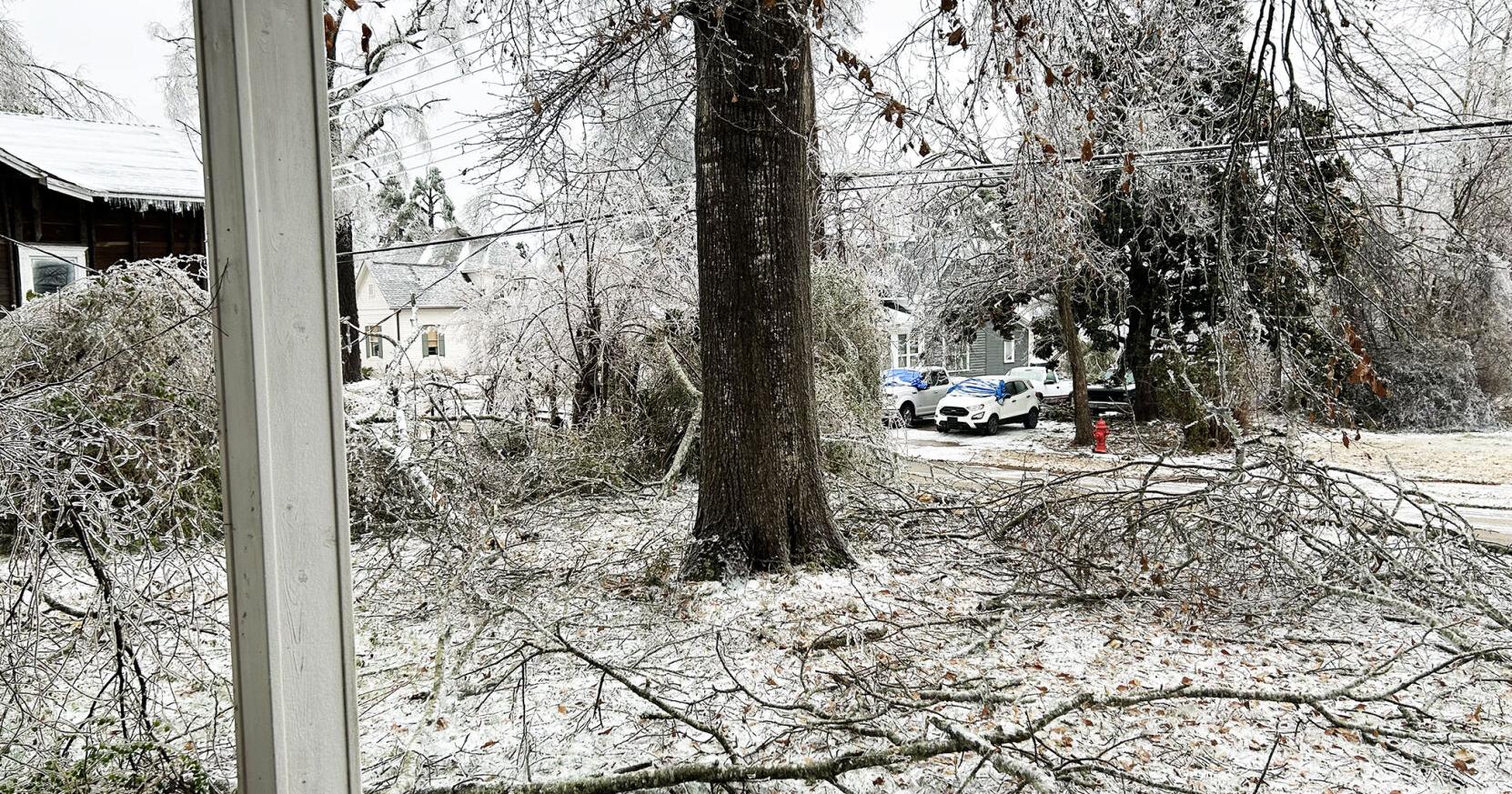 Area reported  devastated  by ice , recovery may take time