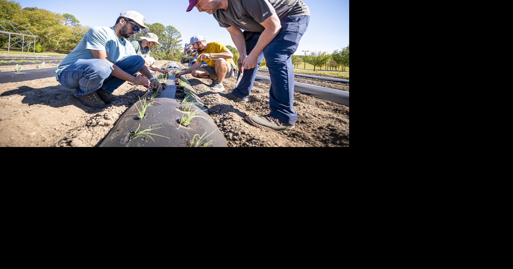 A Fresh Perspective: Student-led farm cultivates learning, builds ...