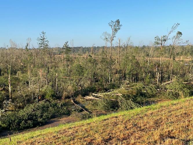 Tornado causes widespread damage, fatalities in Monroe County | News ...