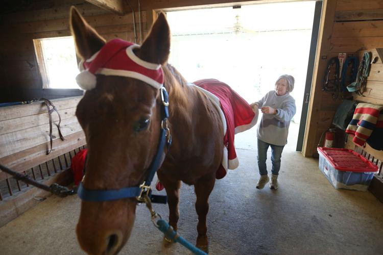 Hope Unbridled Equestrian Program gets help from TVA retirees | Local ...