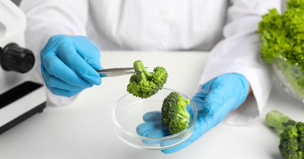 Mississippi Residents Have Been Impacted by 506 Food Recalls Since 2021