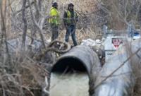 Washington Mayor Begs White House for Sewage Spill Aid