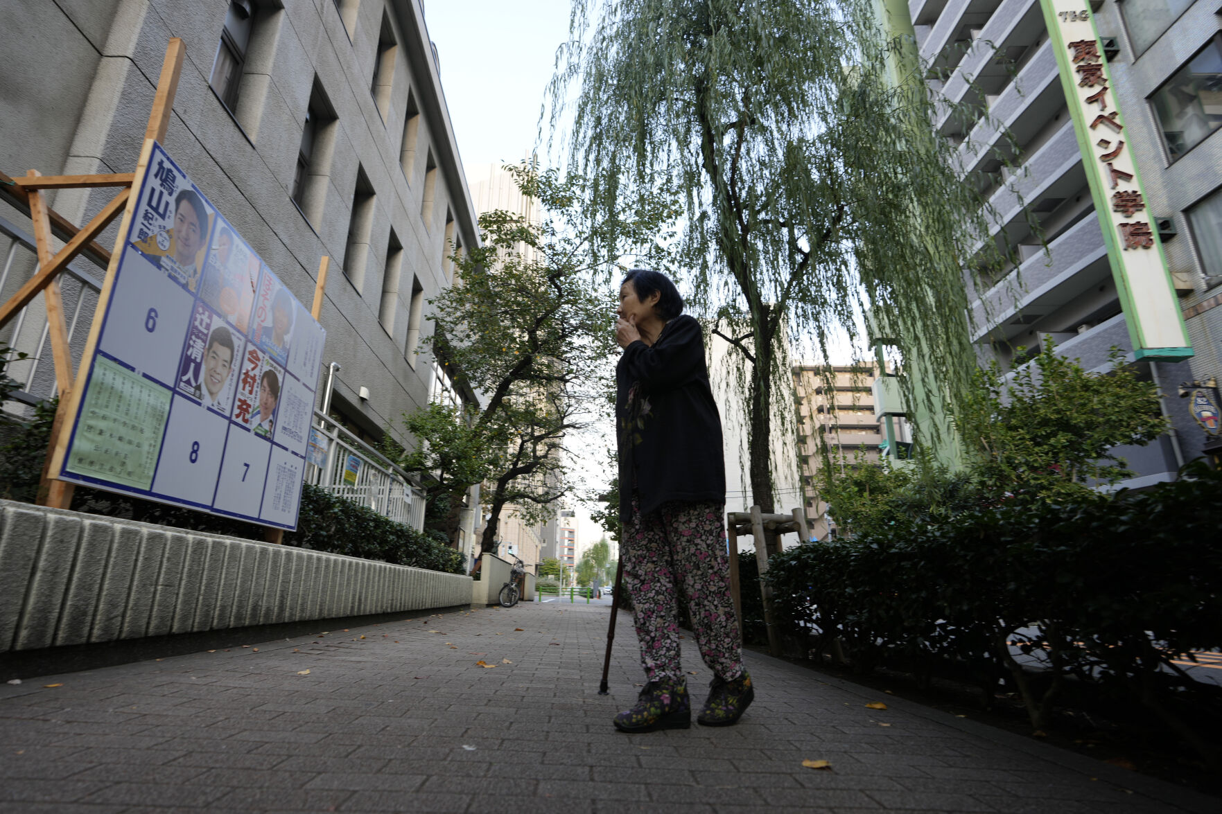 Japan's Ruling Party Is Certain To Lose A Majority In The Lower House ...