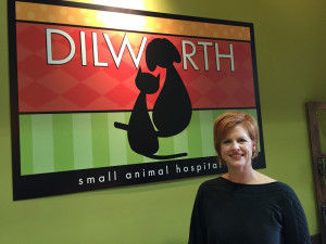 Animals and people celebrate Dilworth comeback | Business 