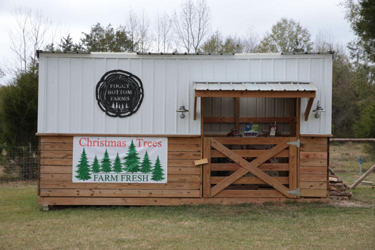 Blue Springs couple cutting first trees this year at Foggy Bottom Farm