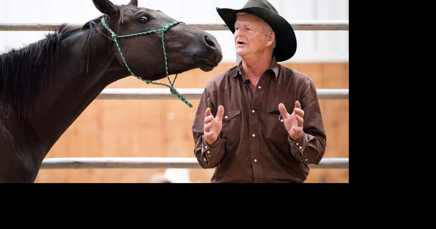 Daily returns to gentle a horse at fair’s family night