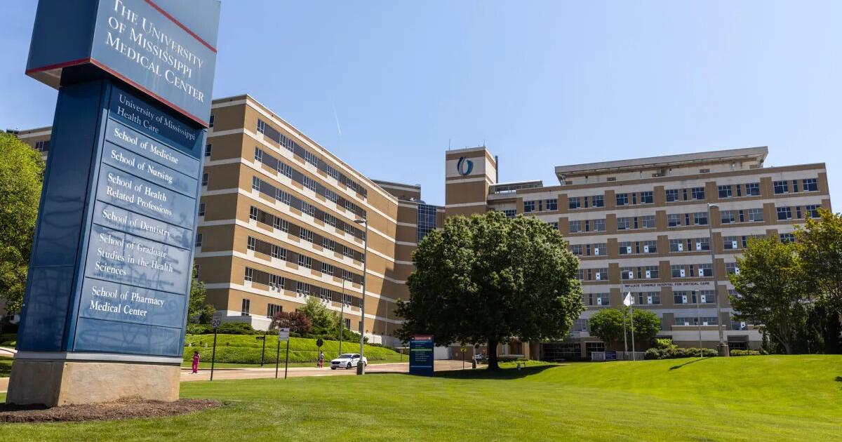 ‘Bringing mental health into the spaces where moms already are’: UMMC ...