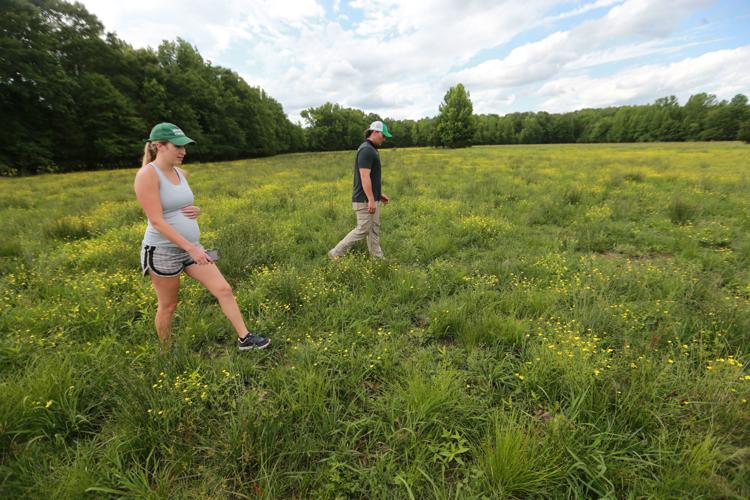 Here's the beef Falkner Farms foray into grassfed beef pays dividends