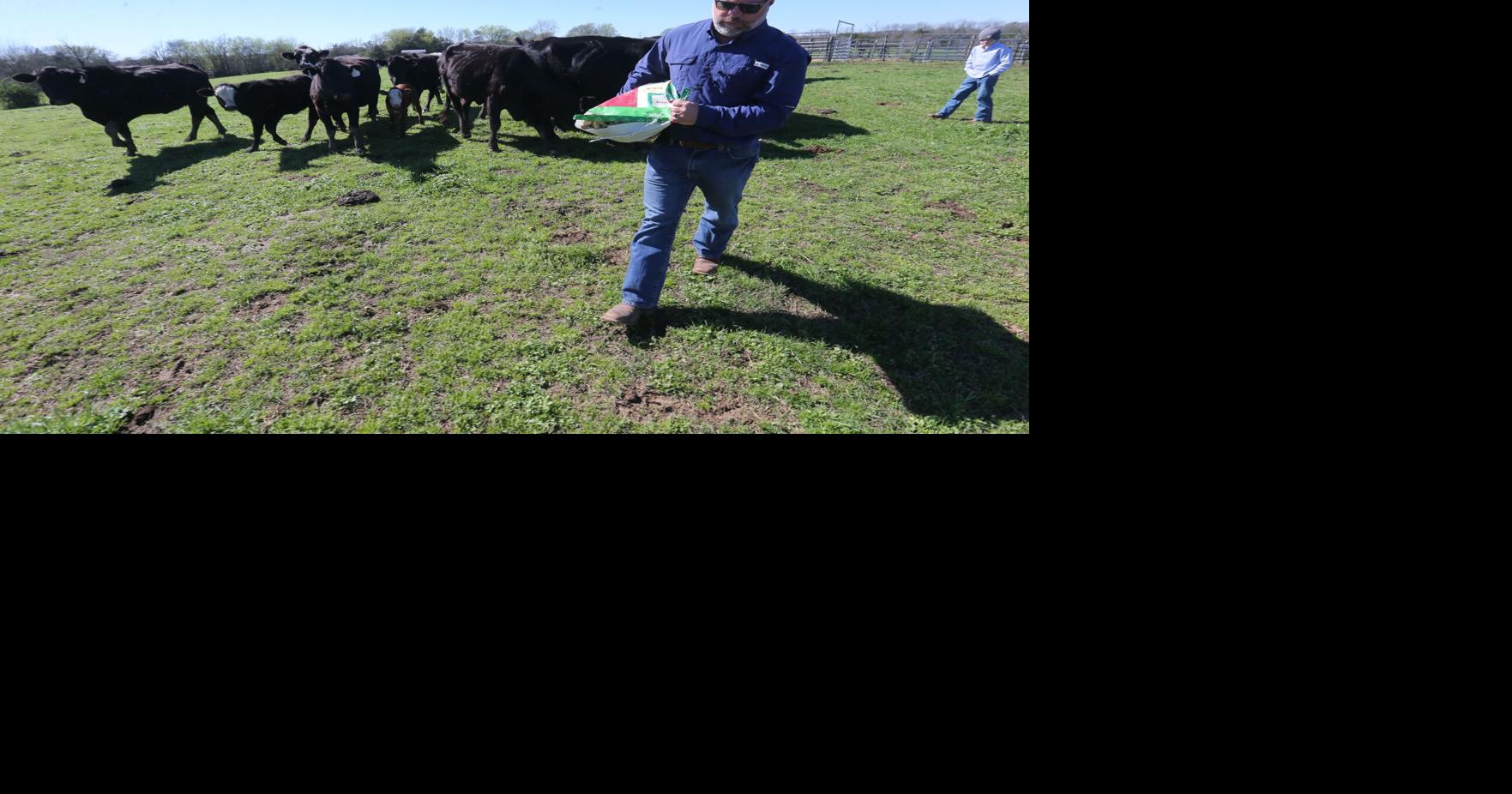 Family farming still vital in rural Mississippi despite historic ...
