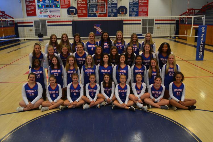 Volleyball hopes to hit hardwood next week New Albany Gazette