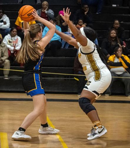 Tae Rice Lions, Lady Tigers drop first-round matchups in 2A playoffs | Sports ...