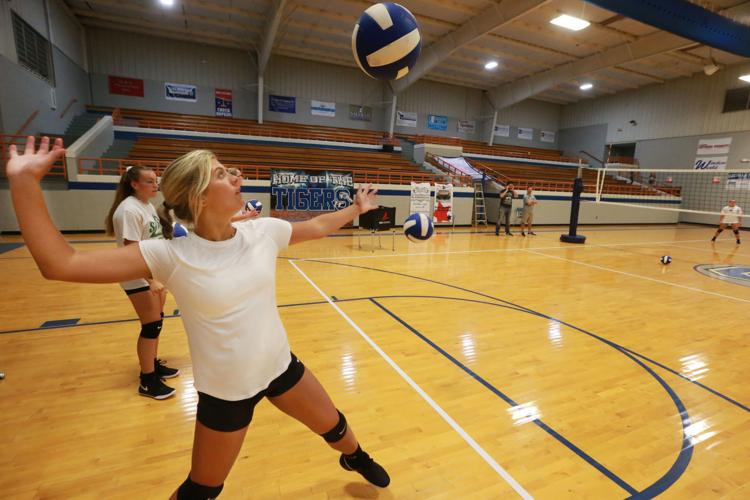 New volleyball programs eager to hit court High school sports