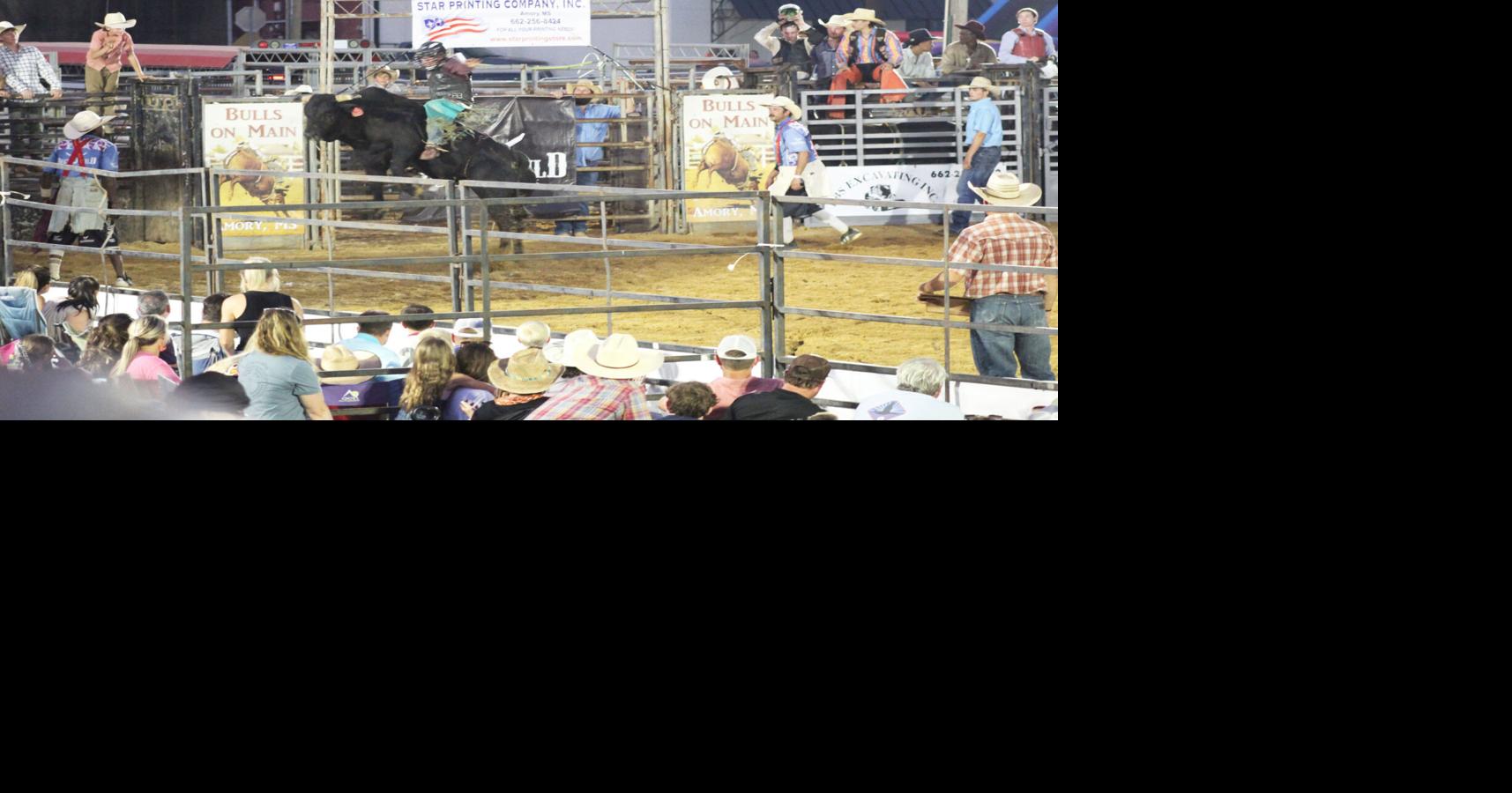 Bulls on Main rearing to go for its second year | News | djournal.com