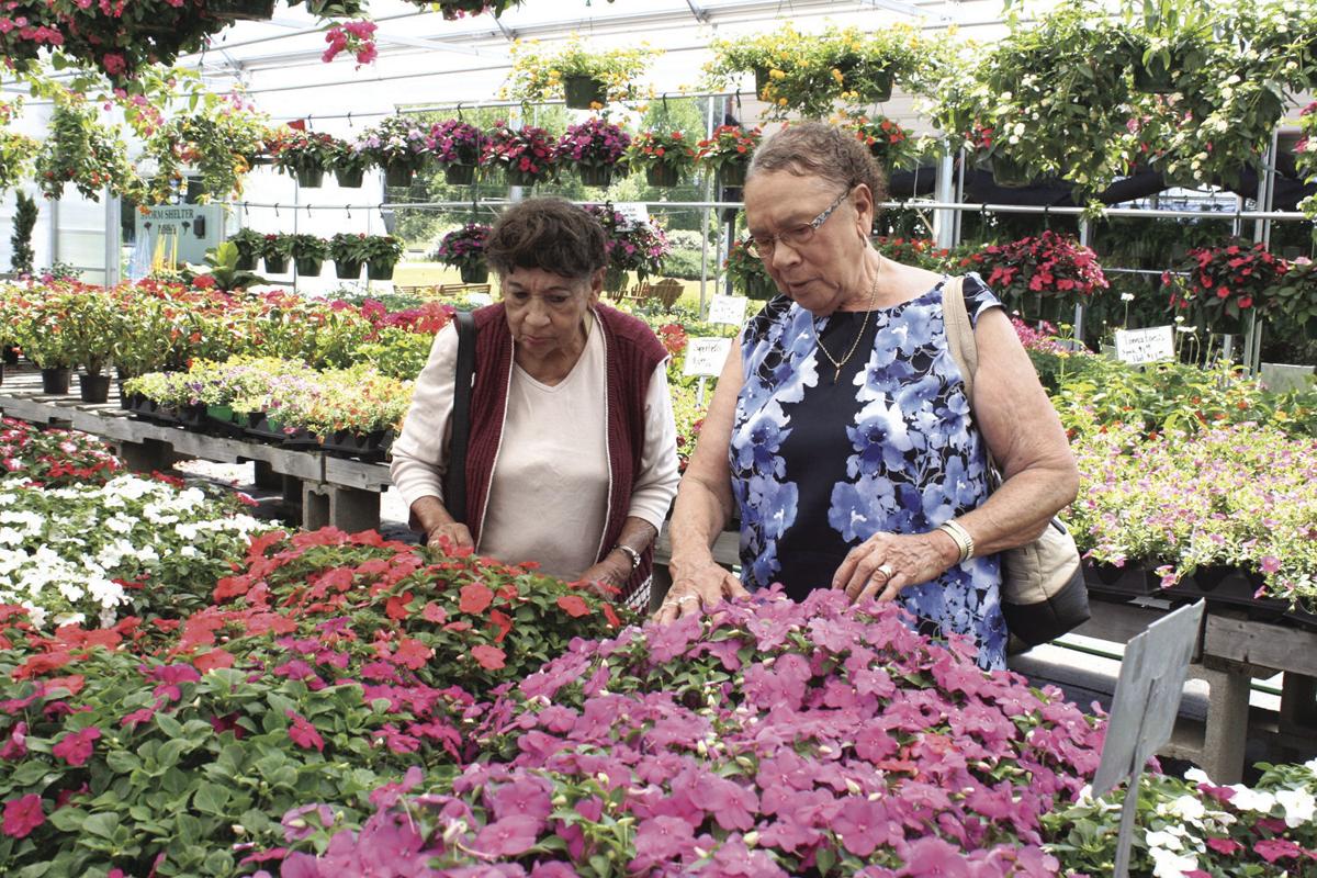 Walton S Greenhouse Cultivates Flowers And Relationships New