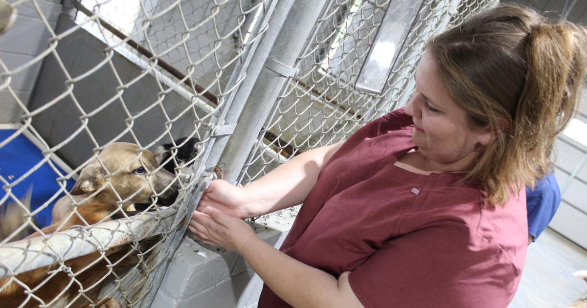 Amory Animal Resource Center awarded grant awards