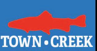 Nettleton hosting Town Creek Festival