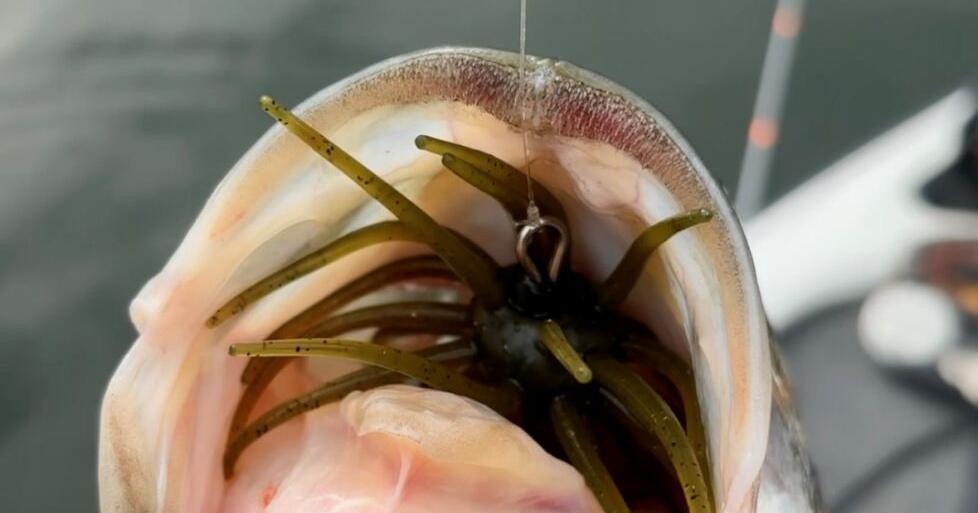 Tentacled baits pioneer unique class of bass lures
