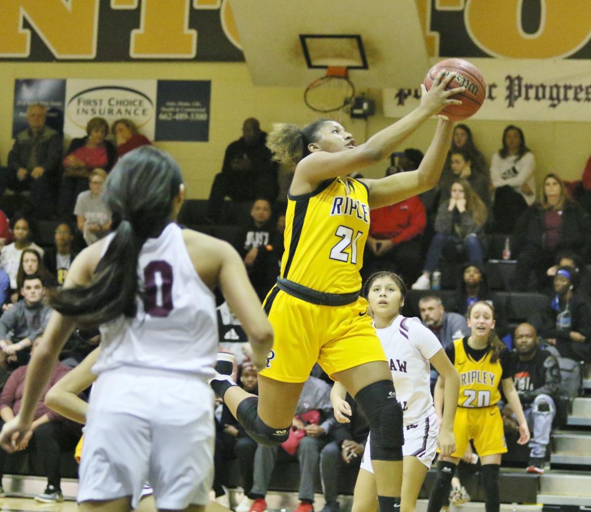 Column A Basketball Season To Remember Sports Djournal Com